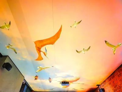 Inspirierende Spanndecken Motive für Wohnzimmer, Küche und Bad