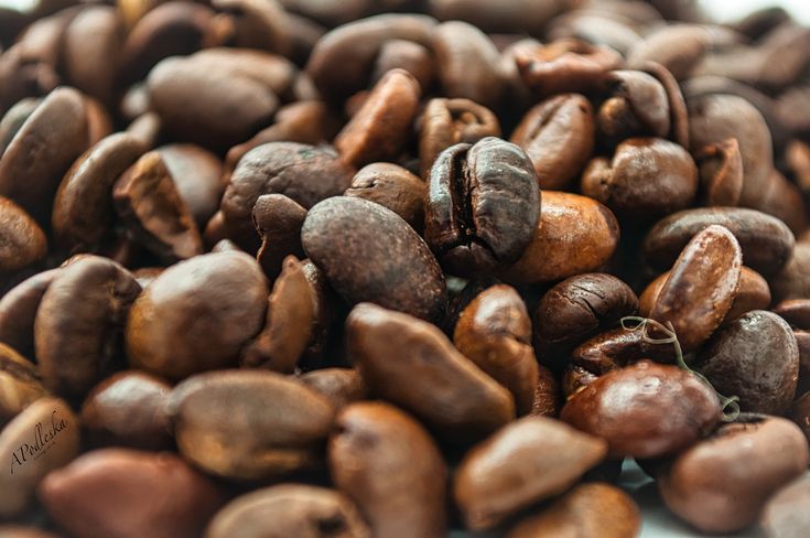 Gute Kaffeebohnen: Die Wahl der Kaffeeliebhaber